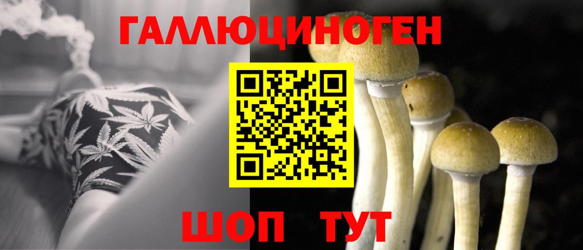 Псилоцибиновые грибы ЛСД Стрежевой